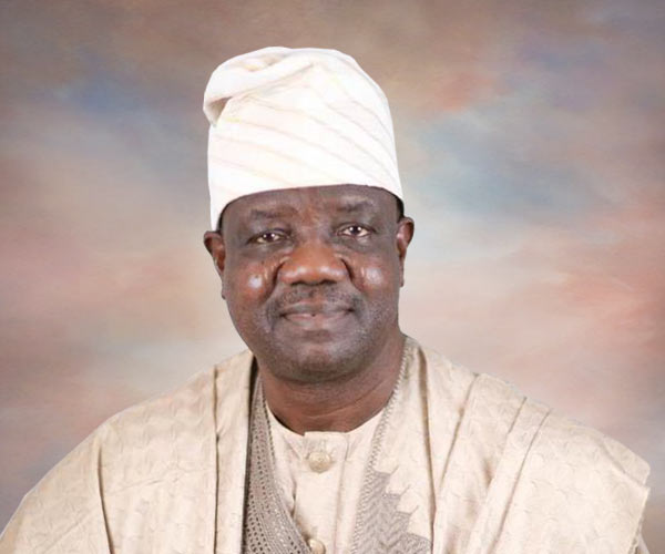 Mr. Adewale Aderibigbe